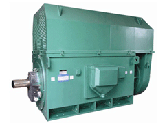 Y630-2Y系列6KV高压电机