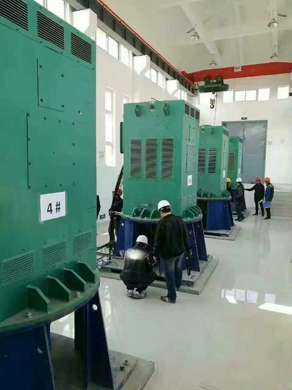 Y630-2某污水处理厂使用我厂的立式高压电机安装现场